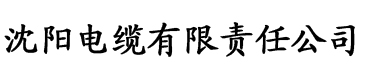 糖心vlog免费下载安装电缆厂logo